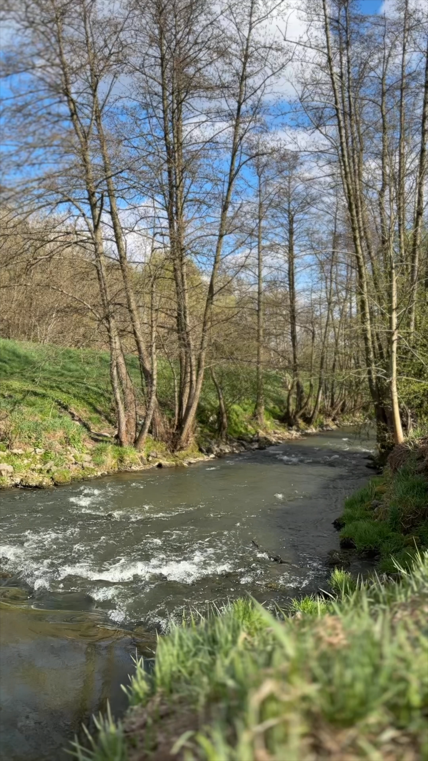 Surroundings